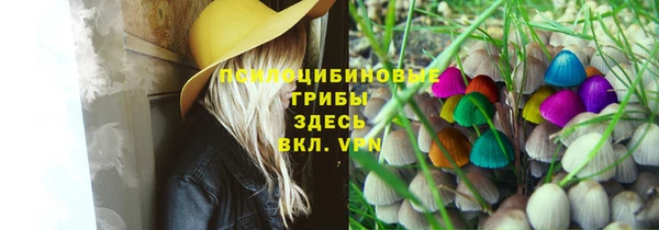 ешки Вязники