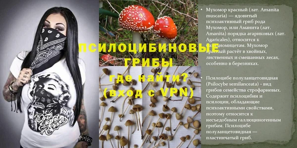 герыч Тутаев