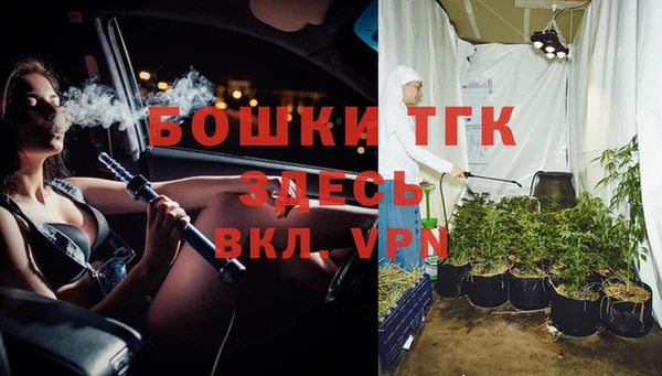 СК Вяземский
