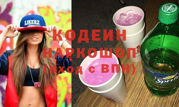 прущие грибы Тында